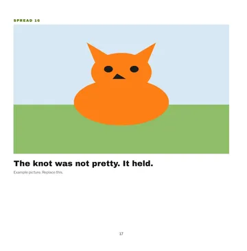 p.17